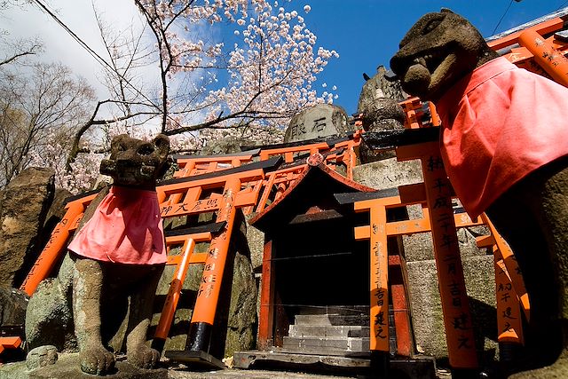 Voyage : De Tokyo à Kyoto : Fuji, mangas et gyozas Voyage De Tokyo à Kyoto : Fuji, mangas et gyozas