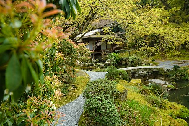 Voyage : De Tokyo à Kyoto : Fuji, mangas et gyozas Voyage De Tokyo à Kyoto : Fuji, mangas et gyozas