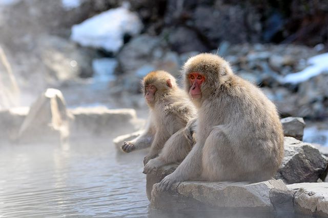 Découverte : Des neiges d'Hokkaido aux temples de Kyoto Voyage Des neiges d'Hokkaido aux temples de Kyoto