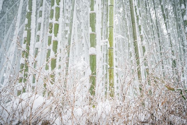 Découverte : Des neiges d'Hokkaido aux temples de Kyoto Voyage Des neiges d'Hokkaido aux temples de Kyoto