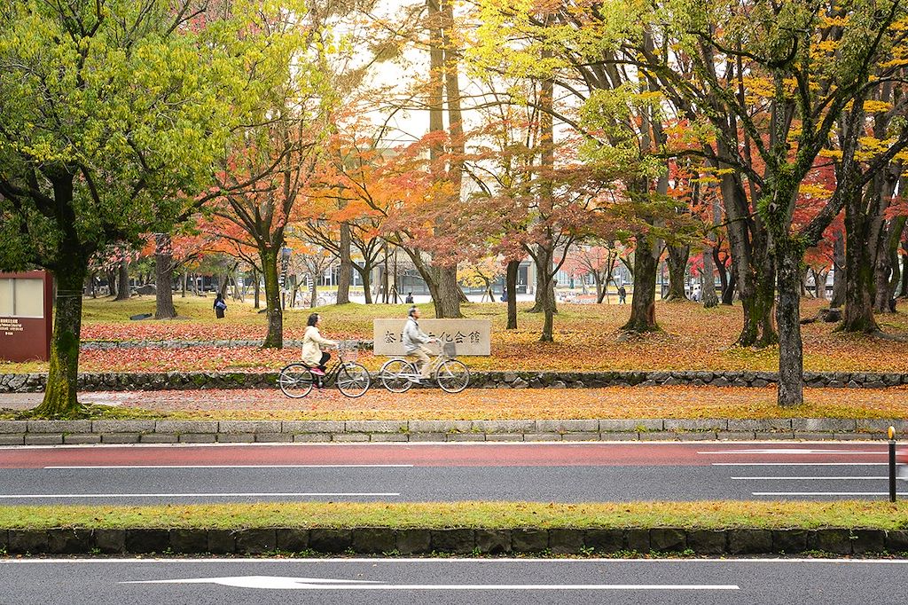 Voyage Japon