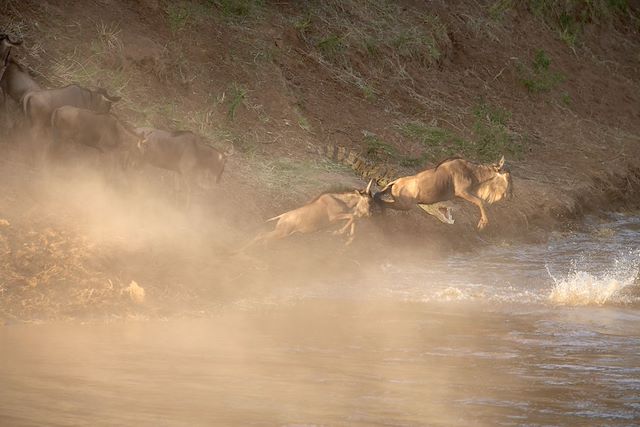 Voyage : Trilogie Safari : Naivasha, Nakuru & Masai Mara Voyage Trilogie Safari : Naivasha, Nakuru & Masai Mara