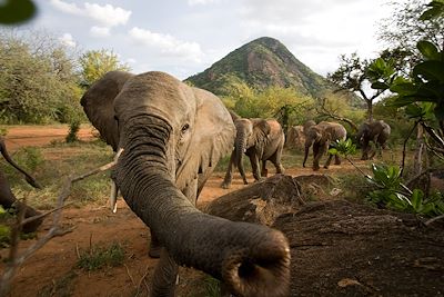 Voyage Forêts, collines, rivières et lacs Kenya