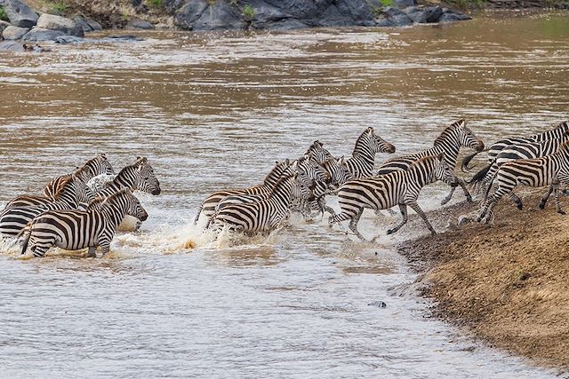 Voyage : Trilogie Safari : Naivasha, Nakuru & Masai Mara Voyage Trilogie Safari : Naivasha, Nakuru & Masai Mara