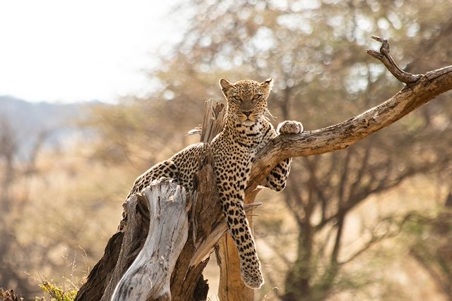 Voyage Karibuni Kenya !