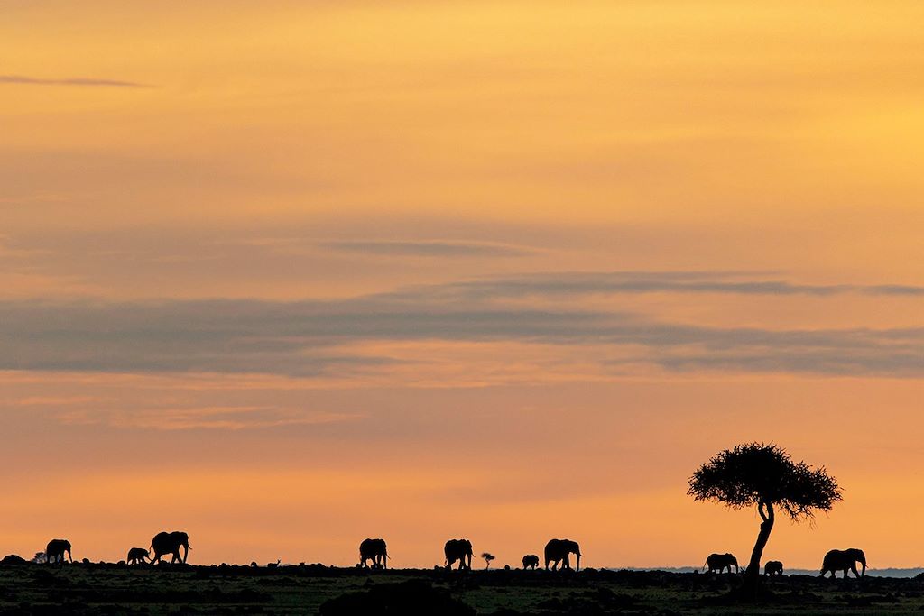 Voyage Safari dans la vallée du Rift