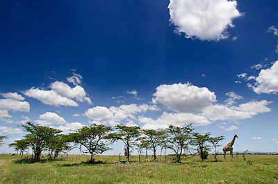 Voyage Forêts, collines, rivières et lacs Kenya