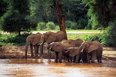 Voyage Brousse et Savane Kenya