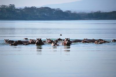 Voyage Kenya