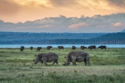 Voyage Forêts, collines, rivières et lacs Kenya