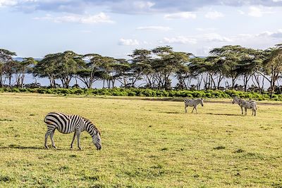 Voyage  Région des lacs du Kenya