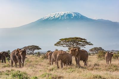 Voyage Forêts, collines, rivières et lacs Kenya