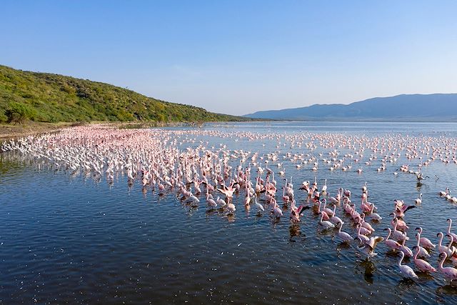 Voyage À l’Ombre du Mont Kenya, les grands lacs