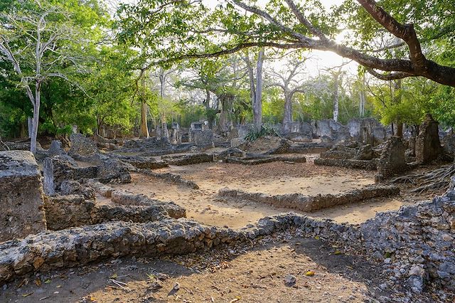 Voyage Watamu entre plages, canyon et mangroves
