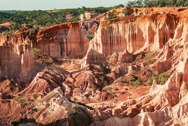 Voyage Watamu entre plages, canyon et mangroves