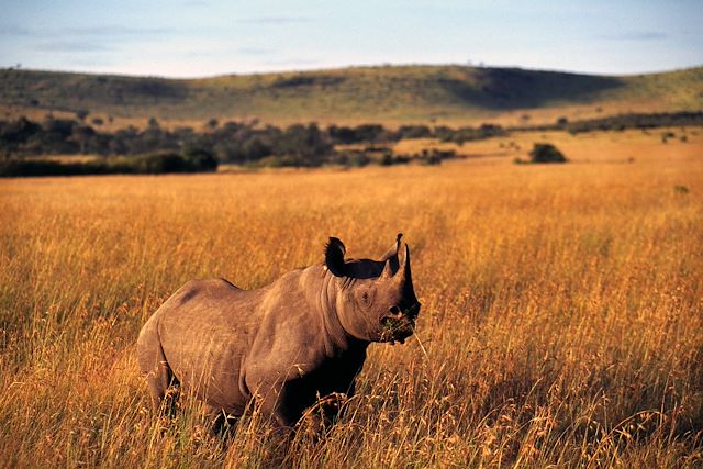 Voyage : Mont Kenya, safaris et plages : l’Afrique en grand Voyage Mont Kenya, safaris et plages : l’Afrique en grand