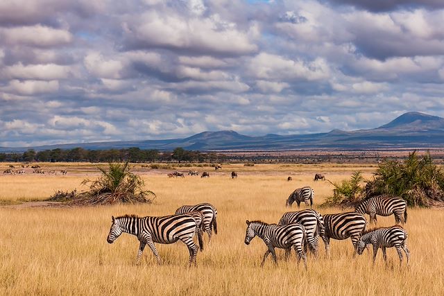 Voyage Kenya en famille, des grands lacs à l’océan Indien