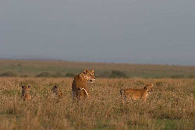 Voyage Au pays des danses masaïs