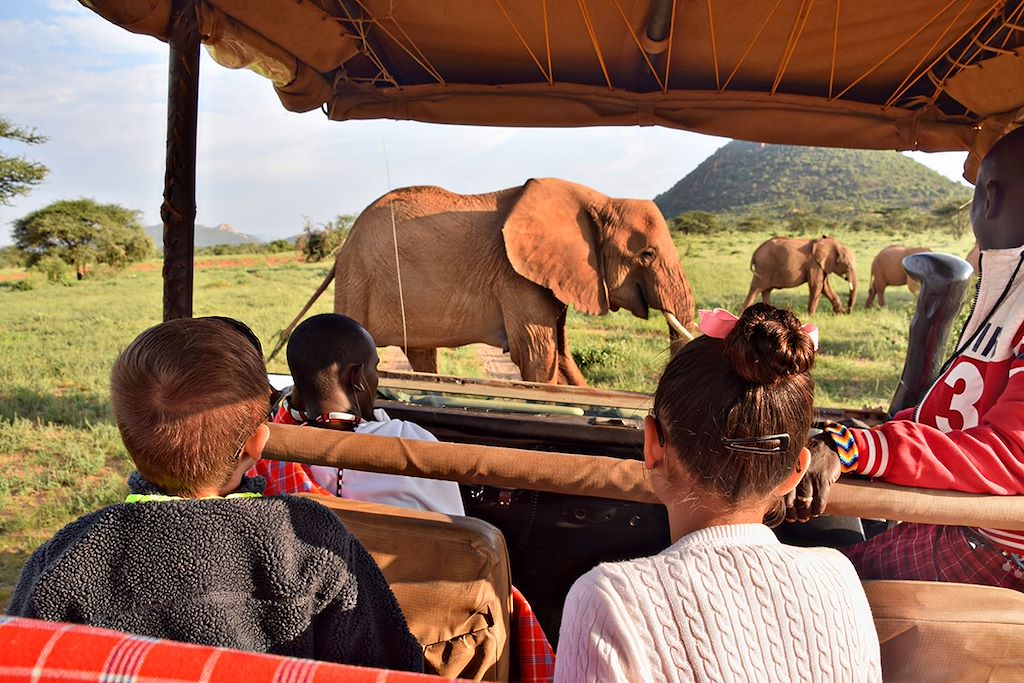 Safari