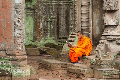 Temples et jungle : d’Angkor aux Cardamomes