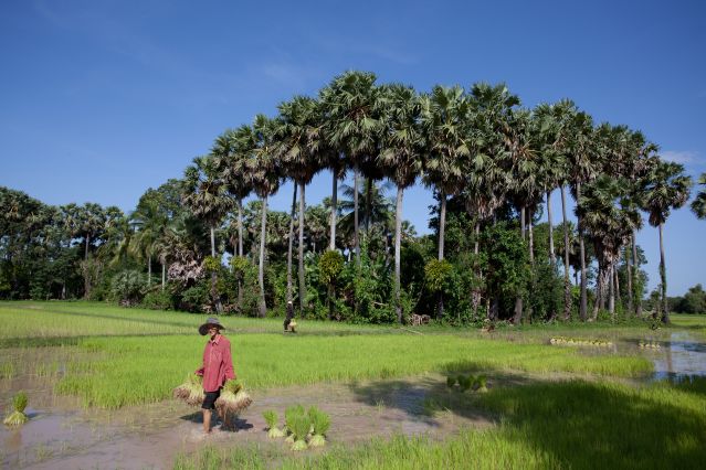Voyage Sur les traces du peuple Khmer 1