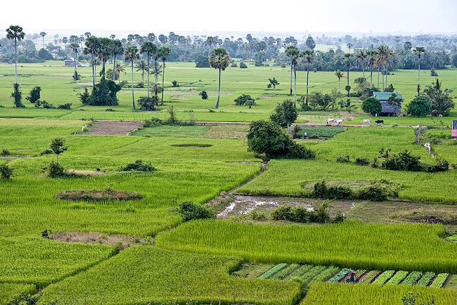 Voyage Mondolkiri, Mékong et montagne sacrée d'Angkor