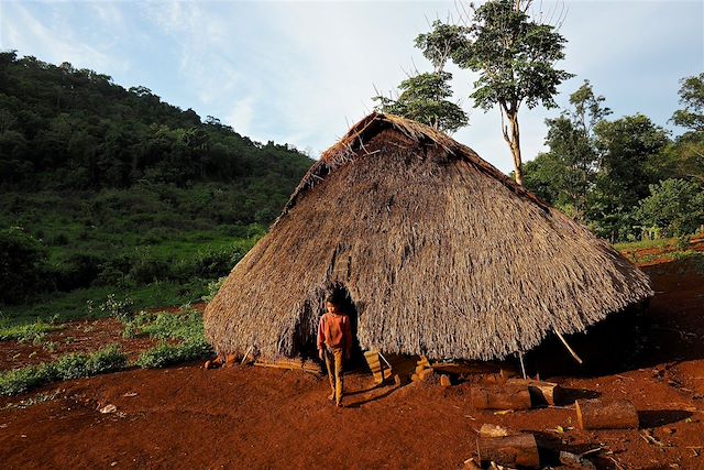 Voyage Du Mondulkiri à Angkor : l’âme du Cambodge
