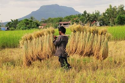 Laos : Circuits accompagnés