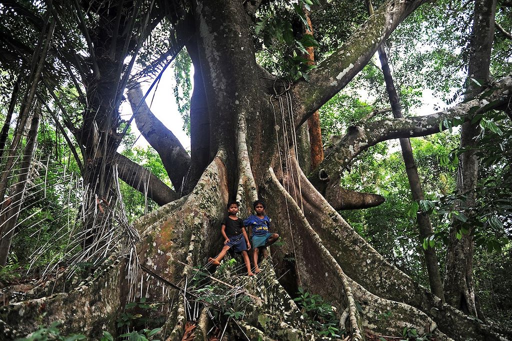 Voyage Laos