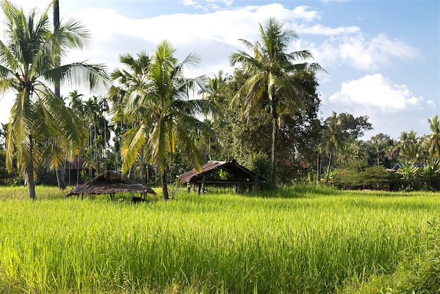 Voyage Laos et Cambodge, terres du Mékong