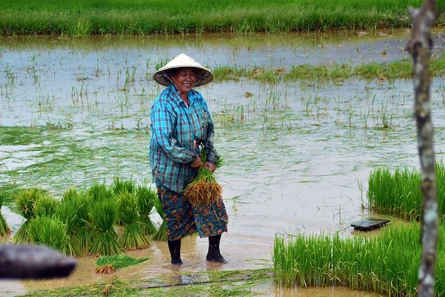 Voyage L'intégrale du Laos