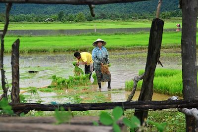 Voyage Forêts, collines, rivières et lacs Laos