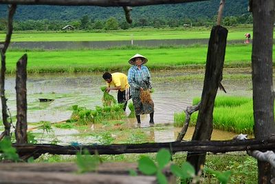 Découverte Laos