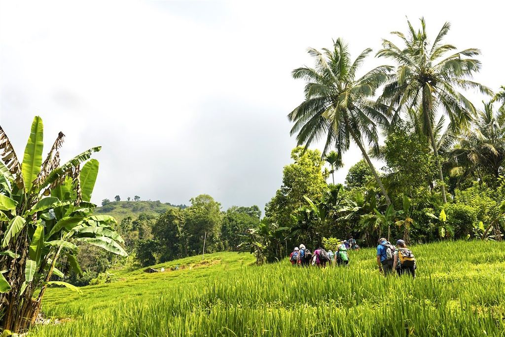 Voyage Petits aventuriers chez les Sri Lankais
