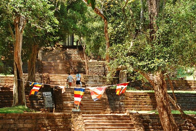 Voyage Multi-activités au Sri Lanka