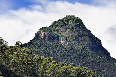 Voyage Patrimoine et Nature Sri Lanka