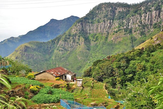 Voyage Adam's Peak, par le sentier originel