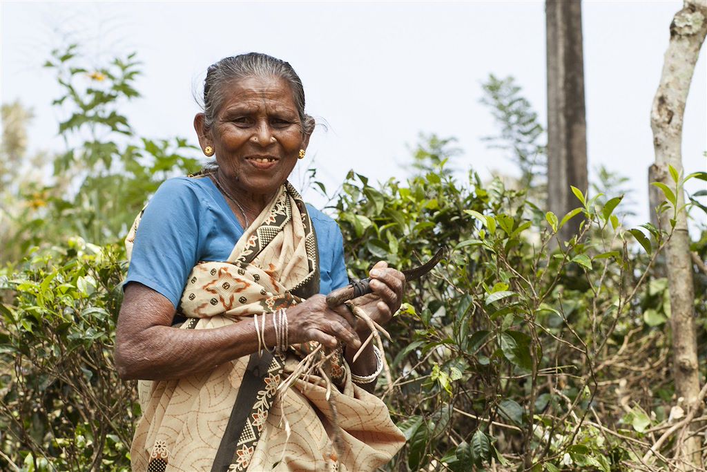 Voyage Insolite Sri Lanka