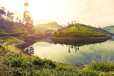 Voyage Forêts, collines, rivières et lacs Sri Lanka