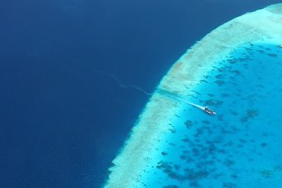 Baignade - Snorkeling