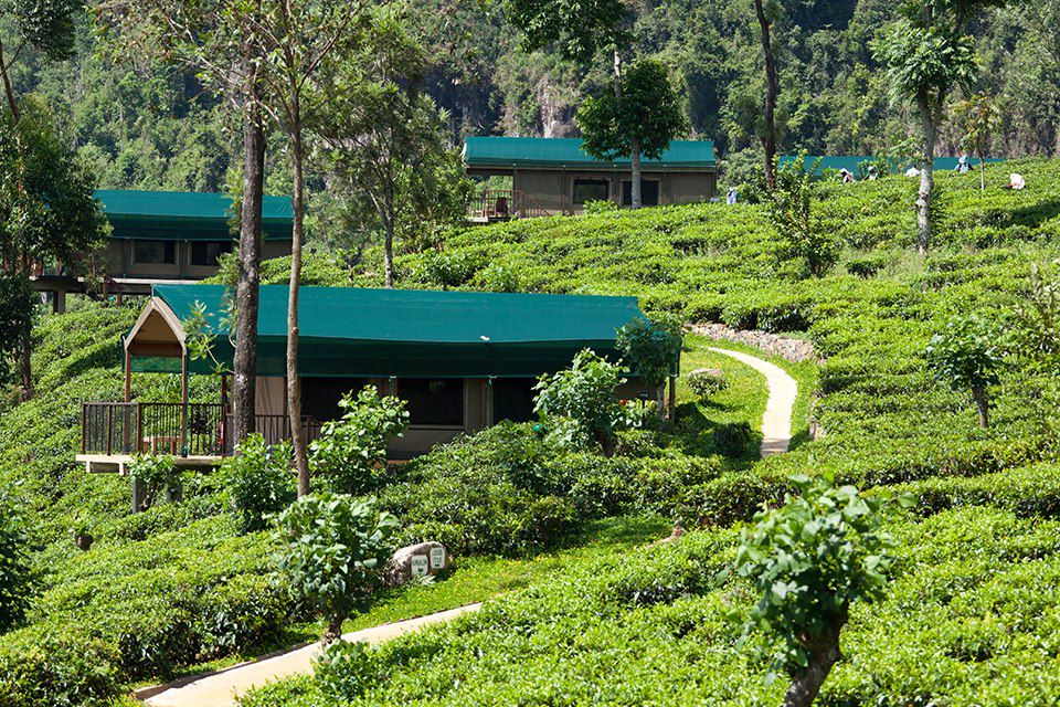 Voyage Sri Lanka