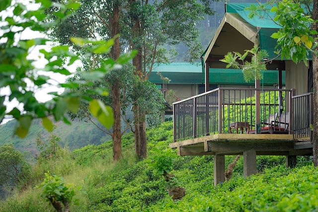 Voyage : Ceylan au rythme de la nature Voyage Ceylan au rythme de la nature