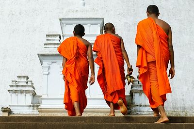 Découverte Sri Lanka