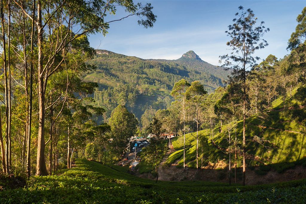 Randonnée Sri Lanka