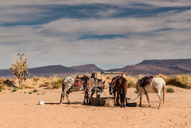 Voyage Echappée saharienne à cheval