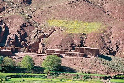 Randonnée avec mulet Maroc