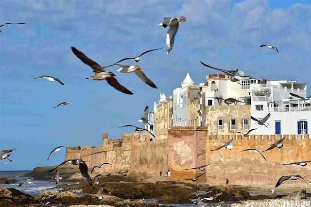 Voyage Charme d'Essaouira et de sa côte sauvage