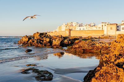 Voyage  Côte Atlantique Marocaine