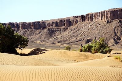 Randonnée avec chameau Sahara