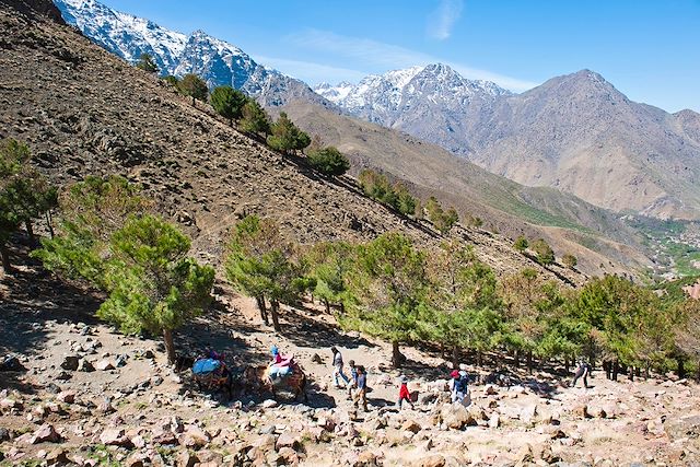 Voyage : Randonnée muletière au coeur du Parc du Toubkal Voyage Randonnée muletière au coeur du Parc du Toubkal